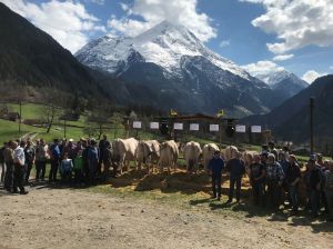 A80_Brti Gisler_ARMANDA_CH 120.0843.7359.2_JONGLEUR-ET 